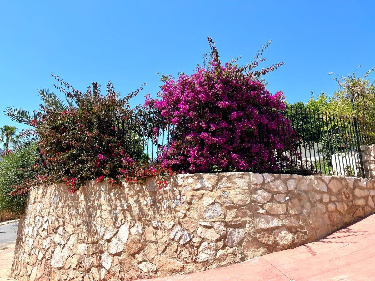 בנאלמדנה Apartment Sea Breeze - Apartamento Brisas Del Mar מראה חיצוני תמונה